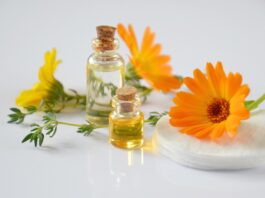 Tıbbi ve Aromatik Bitkiler Üzerine Araştırmalar Yapıldı