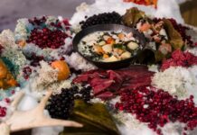 Arktik Mutfağı, Kuzey Kutup bölgesinde yaşayan Inuit, Sami ve diğer yerli halkların yüzyıllardır geliştirdiği yemek kültürünü ifade eder. Bu mutfak, zorlu iklim koşulları ve sınırlı doğal kaynaklarla şekillenmiş olup, hayatta kalmayı sağlayan pratik ve besleyici yemekleri içerir. Arktik mutfağı, sadece beslenme ihtiyacını karşılamakla kalmaz, aynı zamanda kültürel bir miras olarak nesiller boyunca aktarılır. Konulu bir haber görseli.