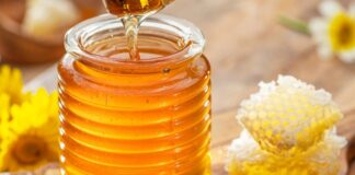 Bal, insanlık tarihi boyunca hem besleyici hem de şifa kaynağı olarak bilinmiştir. Arıcılık gelenekleri, binlerce yıl öncesine dayanır ve farklı kültürlerde kutsal bir gıda olarak kabul edilmiştir. Antik çağlardan günümüze, bal hem tatlı olarak hem de tedavi amaçlı kullanılmıştır. Konulu bir haber görseli.