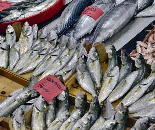 Denizlerin zenginliği olan balık ve deniz ürünleri, sağlıklı beslenmenin temel taşlarından biri olarak mutfaklarda önemli bir yer tutar. Omega-3 yağ asitleri, protein ve vitaminler açısından zengin olan bu ürünler, hem hafif hem de lezzetli yemek alternatifleri sunar. Özellikle Akdeniz ve Ege mutfağında sıkça tercih edilen balık ve deniz ürünleri, sağlıklı yaşam trendleriyle birlikte daha da popüler hale gelmiştir. Konulu bir haber görseli.