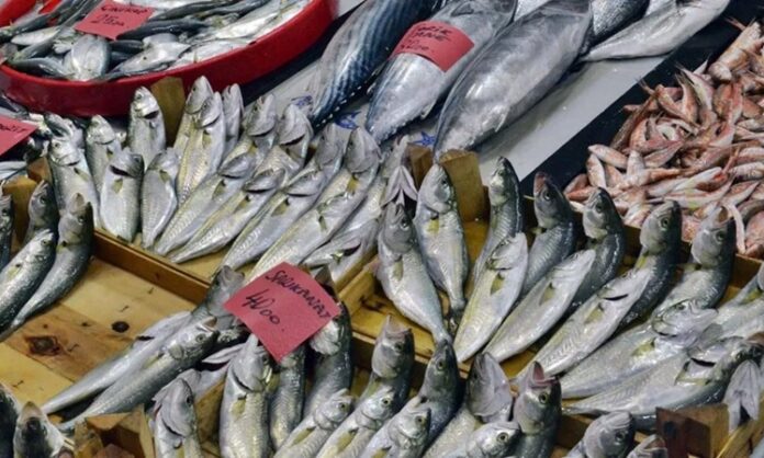 Denizlerin zenginliği olan balık ve deniz ürünleri, sağlıklı beslenmenin temel taşlarından biri olarak mutfaklarda önemli bir yer tutar. Omega-3 yağ asitleri, protein ve vitaminler açısından zengin olan bu ürünler, hem hafif hem de lezzetli yemek alternatifleri sunar. Özellikle Akdeniz ve Ege mutfağında sıkça tercih edilen balık ve deniz ürünleri, sağlıklı yaşam trendleriyle birlikte daha da popüler hale gelmiştir. Konulu bir haber görseli.