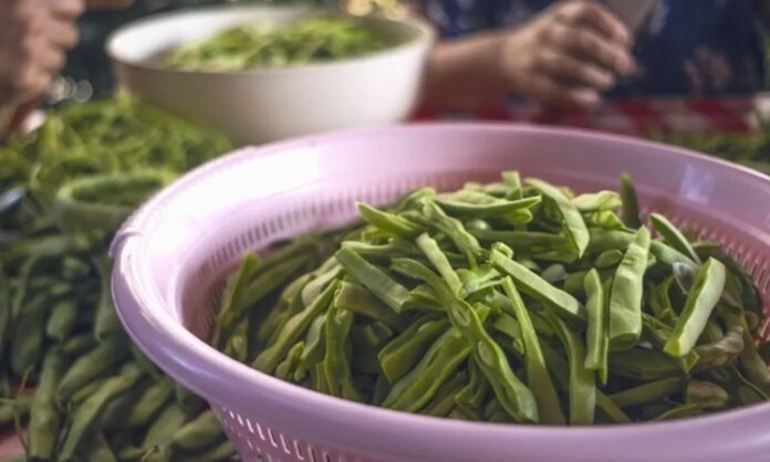 Blanşlama, özellikle sebzeleri pişirmeden önce uygulanan kısa süreli haşlama ve ardından soğuk suya alma işlemidir. Bu yöntem mutfakta hem lezzet hem de sağlık açısından önemli faydalar sunar. Sebzeler, kaynar suya kısa süre bırakıldıktan sonra hızlıca buzlu suya alınır. Böylece hem renklerini hem de tazeliklerini korurlar. Özellikle brokoli, fasulye, ıspanak ve havuç gibi sebzelerde bu yöntem yaygın olarak kullanılır. Konulu bir haber görseli.