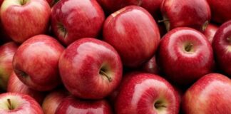 Elma, tarih boyunca insan beslenmesinde önemli bir yer tutmuş meyvelerden biridir. İlk olarak Orta Asya’da yetiştirilen elma, zamanla Avrupa ve dünya mutfaklarına yayılmıştır. Farklı türleri ve tat çeşitleri ile elma, hem taze tüketim hem de yemek ve tatlı tariflerinde sıkça kullanılır. Konulu bir hayat görseli.