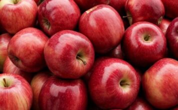 Elma, tarih boyunca insan beslenmesinde önemli bir yer tutmuş meyvelerden biridir. İlk olarak Orta Asya’da yetiştirilen elma, zamanla Avrupa ve dünya mutfaklarına yayılmıştır. Farklı türleri ve tat çeşitleri ile elma, hem taze tüketim hem de yemek ve tatlı tariflerinde sıkça kullanılır. Konulu bir hayat görseli.