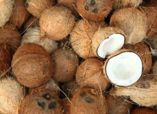 Hindistancevizi yağı, mutfaklarda hem sağlıklı hem de aromatik bir pişirme malzemesi olarak öne çıkar. Hindistancevizi yağıyla pişirme, yiyeceklerin doğal lezzetini korumasına ve aroma kazanmasına yardımcı olur. Özellikle kavurma tekniklerinde bu yağ, yiyeceklerin dış yüzeyini hafifçe kızartırken iç dokusunu yumuşak bırakır. Konulu bir haber görseli.