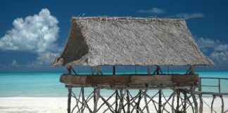 Kiribati mutfağı, Pasifik Okyanusu’nun ortasında yer alan adalarda şekillenmiş, doğal ve taze ürünlere dayalı bir mutfaktır. Tarih boyunca Polynesian kültürü ile gelişmiş olan bu mutfak, hem günlük yaşamda hem de özel günlerde toplumsal bir bağ kurma aracı olarak önem taşır. Konulu bir haber görseli.