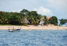 Malavi Mutfağı Malavi mutfağı, Afrika’nın doğusunda yer alan bu küçük ülkenin zengin kültürel çeşitliliğini sofralara taşır. Yüzyıllar boyunca farklı etnik grupların bir arada yaşaması, mutfağın lezzet repertuarını zenginleştirmiştir. Ada ülkelerine kıyasla daha kırsal ve doğal bir yemek kültürü hakimdir. Konulu bir haber görseli.