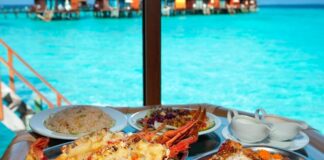 Maldivler mutfağı, Hint Okyanusu’nun tropikal adalarında şekillenmiş, taze ve doğal ürünlere dayalı bir mutfaktır. Deniz ürünleri ve tropikal tarım ürünleri, Maldivler’in mutfak kültürünü belirleyen en önemli unsurlardır. Tarih boyunca Arap, Hint ve Sri Lanka mutfaklarından etkilenmiş olan bu geleneksel mutfak, hem lezzet hem de görsellik açısından dikkat çeker. Konulu bir haber görseli.