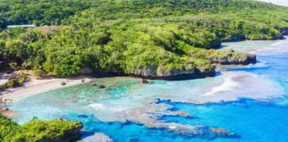 Niue Mutfağı, Güney Pasifik’in küçük ama zengin kültürel geçmişe sahip adası Niue’nin geleneksel yemeklerini ve beslenme alışkanlıklarını yansıtır. Ada halkı yüzyıllardır deniz ürünleri, tropikal meyveler ve kök sebzeleri kullanarak kendine özgü tarifler geliştirmiştir. Hindistancevizi, taro, balık ve muz, Niue mutfağının temel ögeleri arasında yer alır.