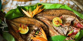 Palau Mutfağı, Pasifik Okyanusu’nda yer alan Palau Cumhuriyeti’nin zengin kültürel ve doğal kaynaklarını sofralara taşıyan eşsiz bir gastronomi anlayışına sahiptir. Ada halkı yüzyıllar boyunca denizden ve tropikal ormanlardan elde ettiği ürünlerle kendine özgü yemekler geliştirmiştir. Balık ve deniz ürünleri, kök sebzeler, tropikal meyveler ve hindistancevizi, Palau mutfağının temel taşlarını oluşturur. Konulu bir haber görseli.