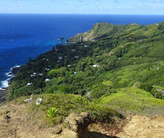 Pitcairn Adaları Mutfağı, Güney Pasifik’in en küçük yerleşim yerlerinden biri olan Pitcairn Adaları’nın geleneksel beslenme alışkanlıklarını ve kültürel mirasını yansıtır. Ada halkı, yüzyıllardır deniz ürünleri, tropikal meyveler ve kök sebzelerle kendine özgü tarifler geliştirmiştir. Hindistancevizi, taro, balık ve muz, Pitcairn mutfağının temel ögeleri arasında yer alır. Konulu bir haber görseli.