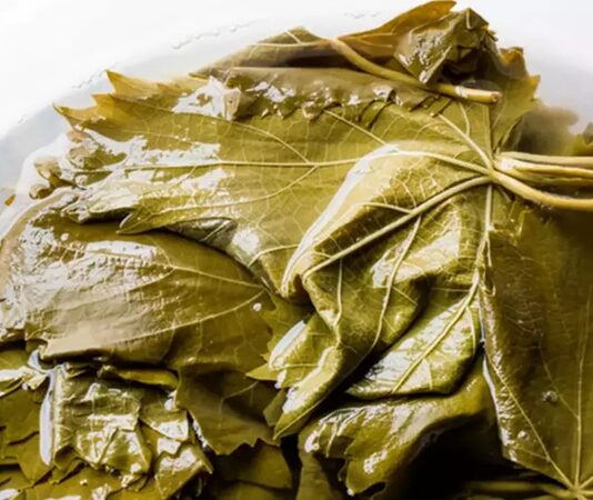 Salamura, yüzyıllardır sofralarda yer bulan bir saklama tekniği olarak biliniyor. Özellikle Akdeniz ve Anadolu kültürlerinde yaygın olarak kullanılan bu yöntem, besinlerin bozulmadan uzun süre dayanmasını sağlıyor. Tarihte ilk kez tuzlu suyun gıdaları koruma özelliği keşfedildiğinde insanlar için adeta bir devrim niteliği taşımıştı. Bu teknik sayesinde özellikle kış aylarında yiyecek bulmanın zorlaştığı dönemlerde, hazırlanan sebzeler ve zeytinler tazeliğini uzun süre koruyabildi. Konulu bir haber görseli.