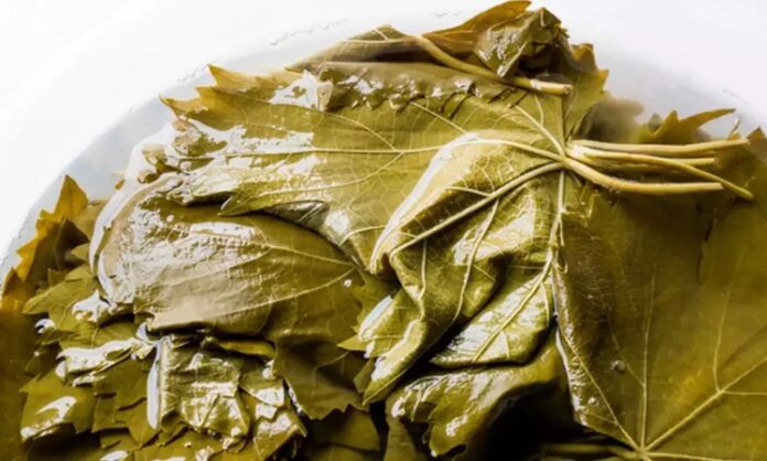 Salamura, yüzyıllardır sofralarda yer bulan bir saklama tekniği olarak biliniyor. Özellikle Akdeniz ve Anadolu kültürlerinde yaygın olarak kullanılan bu yöntem, besinlerin bozulmadan uzun süre dayanmasını sağlıyor. Tarihte ilk kez tuzlu suyun gıdaları koruma özelliği keşfedildiğinde insanlar için adeta bir devrim niteliği taşımıştı. Bu teknik sayesinde özellikle kış aylarında yiyecek bulmanın zorlaştığı dönemlerde, hazırlanan sebzeler ve zeytinler tazeliğini uzun süre koruyabildi. Konulu bir haber görseli.