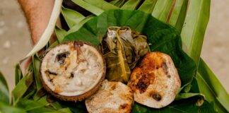 Samoa Mutfağı, Güney Pasifik’in tropikal adası Samoa’nın zengin kültürel geçmişini yansıtan bir gastronomi anlayışıdır. Yüzyıllardır yerli halk, ada kaynaklarını ve deniz ürünlerini kullanarak kendine özgü tarifler geliştirmiştir. Balık ve diğer deniz ürünleri, kök sebzeler, tropikal meyveler ve hindistancevizi, Samoa mutfağının temel ögelerindendir. Konulu bir haber görseli.