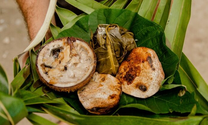 Samoa Mutfağı, Güney Pasifik’in tropikal adası Samoa’nın zengin kültürel geçmişini yansıtan bir gastronomi anlayışıdır. Yüzyıllardır yerli halk, ada kaynaklarını ve deniz ürünlerini kullanarak kendine özgü tarifler geliştirmiştir. Balık ve diğer deniz ürünleri, kök sebzeler, tropikal meyveler ve hindistancevizi, Samoa mutfağının temel ögelerindendir. Konulu bir haber görseli.