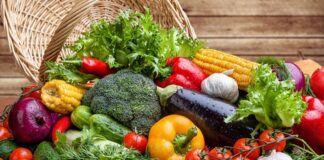 Sebzeler, insan beslenmesinde binlerce yıldır temel bir rol oynamaktadır. Tarımın gelişmesiyle birlikte, farklı iklim ve toprak koşullarında yetiştirilen sebzeler, kültürel mutfakların vazgeçilmez bir parçası haline gelmiştir. Antik medeniyetlerde sebzeler, yalnızca besin kaynağı değil aynı zamanda şifa ve ritüel amaçlarla da kullanılmıştır. Konulu bir haber görseli.