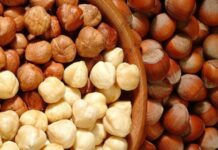 Fındık ve ceviz, sofraların hem lezzet hem de besin değeri açısından vazgeçilmez unsurları arasında yer alıyor. Özellikle kahvaltıdan ana öğünlere, tatlılardan atıştırmalıklara kadar geniş bir kullanım alanına sahip olan bu kuruyemişler, zengin içeriğiyle sağlıklı beslenmenin destekçisi konumunda. Türkiye, özellikle fındık üretiminde dünya lideri olması sebebiyle sofralarda tazeliği ve kalitesiyle öne çıkan fındığı bolca kullanır. Ceviz ise hem taze hem de kırılmış olarak mutfaklarda önemli bir yer tutar. Konulu bir haber görseli.