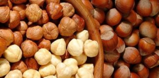 Fındık ve ceviz, sofraların hem lezzet hem de besin değeri açısından vazgeçilmez unsurları arasında yer alıyor. Özellikle kahvaltıdan ana öğünlere, tatlılardan atıştırmalıklara kadar geniş bir kullanım alanına sahip olan bu kuruyemişler, zengin içeriğiyle sağlıklı beslenmenin destekçisi konumunda. Türkiye, özellikle fındık üretiminde dünya lideri olması sebebiyle sofralarda tazeliği ve kalitesiyle öne çıkan fındığı bolca kullanır. Ceviz ise hem taze hem de kırılmış olarak mutfaklarda önemli bir yer tutar. Konulu bir haber görseli.