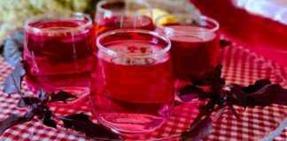 Şerbet ve kompostolar, özellikle yaz aylarında sofralarda hem ferahlık hem de tatlı bir lezzet sunan geleneksel içecekler arasında yer alır. Yüzyıllardır Anadolu’dan Balkanlara, Orta Doğu’dan Akdeniz’e kadar uzanan geniş coğrafyada sofraların vazgeçilmezidir. Şerbetler; meyve, çiçek ve baharatların su, şeker ve bazen de sirkeyle birleşmesiyle hazırlanırken, kompostolar ise taze veya kuru meyvelerin suda kaynatılmasıyla elde edilir. Bu içecekler, hafif tatlı yapıları ve doğal aromalarıyla damaklarda kalıcı bir iz bırakır. Konulu bir haber görseli.