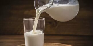 Süt, insanlık tarihi boyunca beslenmenin temel kaynaklarından biri olmuştur. Hayvanlardan elde edilen süt, özellikle inek, keçi ve koyun sütü, farklı kültürlerde gıda olarak uzun yıllardır tüketilmektedir. Tarih boyunca süt, hem besleyici özellikleri hem de sağlık faydaları nedeniyle sofraların vazgeçilmezi olmuştur. Konulu bir haber görseli.