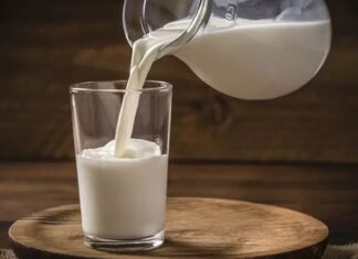 Süt, insanlık tarihi boyunca beslenmenin temel kaynaklarından biri olmuştur. Hayvanlardan elde edilen süt, özellikle inek, keçi ve koyun sütü, farklı kültürlerde gıda olarak uzun yıllardır tüketilmektedir. Tarih boyunca süt, hem besleyici özellikleri hem de sağlık faydaları nedeniyle sofraların vazgeçilmezi olmuştur. Konulu bir haber görseli.