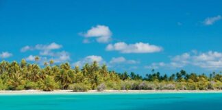 Tuamotu Mutfağı, Fransız Polinezyası’nın geniş bir atol zinciri olan Tuamotu Adaları’nın zengin kültürel geçmişini yansıtan bir gastronomi anlayışıdır. Ada halkı yüzyıllardır deniz ürünleri, tropikal meyveler ve kök sebzeleri kullanarak kendine özgü tarifler geliştirmiştir. Hindistancevizi, balık ve taro, Tuamotu mutfağının temel ögelerindendir. Konulu bir haber görseli.