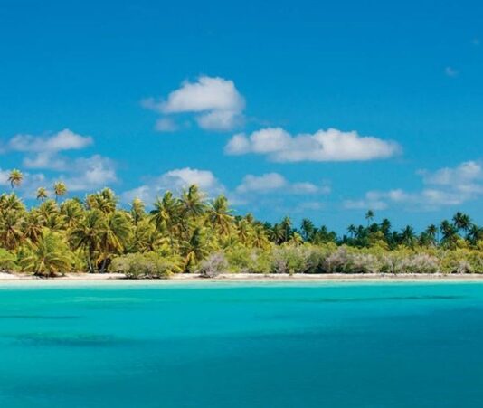 Tuamotu Mutfağı, Fransız Polinezyası’nın geniş bir atol zinciri olan Tuamotu Adaları’nın zengin kültürel geçmişini yansıtan bir gastronomi anlayışıdır. Ada halkı yüzyıllardır deniz ürünleri, tropikal meyveler ve kök sebzeleri kullanarak kendine özgü tarifler geliştirmiştir. Hindistancevizi, balık ve taro, Tuamotu mutfağının temel ögelerindendir. Konulu bir haber görseli.