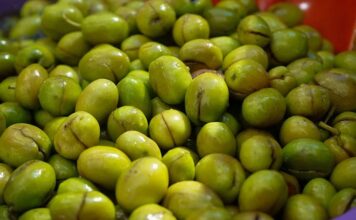 Akdeniz’in bereketli topraklarında yetişen yeşil zeytin, binlerce yıllık bir geçmişe sahip. Tarih boyunca birçok uygarlık için hem besin kaynağı hem de kültürel bir sembol olmuştur. Antik dönemlerde kutsal sayılan zeytin ağacı, barışın ve bolluğun işareti olarak görülmüş, sofralara sunduğu yeşil zeytin ile insanlığın yaşamına değer katmıştır. Konulu bir haber görseli.