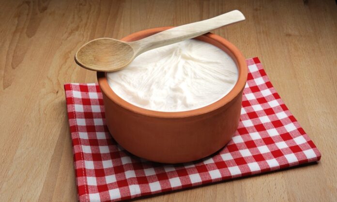 Yoğurt, yüzyıllardır sofraların vazgeçilmez besinlerinden biri olmuştur. Türkiye ve çevresindeki Orta Asya coğrafyasında kökeni bulunan yoğurt, zamanla tüm dünyada bilinen ve tüketilen bir gıda haline gelmiştir. Yoğurdun mayalanma süreci ve doğal fermantasyon özelliği, onu hem besleyici hem de sağlıklı bir gıda yapar. Konulu bir haber görseli.