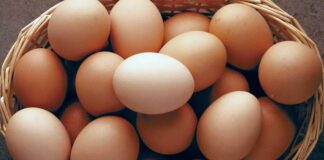 Yumurta, doğanın sunduğu en zengin besin kaynaklarından biri olarak hem günlük hayatta hem de özel tariflerde sıkça tercih edilir. İçeriğinde bulunan yüksek kaliteli protein, kas gelişimini desteklerken vücudun ihtiyaç duyduğu temel aminoasitleri de karşılar. Bu özelliğiyle sporcular, çocuklar ve dengeli beslenmek isteyen kişiler için önemli bir gıda haline gelir. Aynı zamanda yumurta, bağışıklık sistemini güçlendiren vitamin ve mineraller açısından da oldukça zengindir. Konulu bir haber görseli.