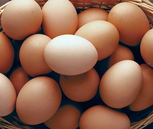 Yumurta, doğanın sunduğu en zengin besin kaynaklarından biri olarak hem günlük hayatta hem de özel tariflerde sıkça tercih edilir. İçeriğinde bulunan yüksek kaliteli protein, kas gelişimini desteklerken vücudun ihtiyaç duyduğu temel aminoasitleri de karşılar. Bu özelliğiyle sporcular, çocuklar ve dengeli beslenmek isteyen kişiler için önemli bir gıda haline gelir. Aynı zamanda yumurta, bağışıklık sistemini güçlendiren vitamin ve mineraller açısından da oldukça zengindir. Konulu bir haber görseli.