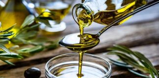 Zeytin, tarih boyunca Akdeniz medeniyetlerinin kutsal meyvesi olarak kabul edilmiştir. Sadece bir besin değil, aynı zamanda barışı, sağlığı ve uzun ömrü simgeleyen özel bir üründür. Anadolu toprakları, binlerce yıldır bu değerli meyveyi yetiştiren ve işleyen önemli coğrafyalardan biridir. Zeytinin bu topraklardaki serüveni, yalnızca bir tarım hikâyesi değil, aynı zamanda bir kültür aktarımıdır. Konulu bir haber görseli.