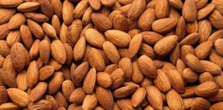 Badem, insanlık tarihinin en eski tarım ürünlerinden biri olarak kabul ediliyor. Orta Asya ve Orta Doğu coğrafyasında binlerce yıl önce yetiştirilmeye başlanan bu değerli kuruyemiş, zamanla tüm dünyaya yayıldı. Osmanlı döneminde hem mutfakta hem de tıpta kullanılan badem, günümüzde de sofraların vazgeçilmez lezzetlerinden biri olarak biliniyor. Konulu bir haber görseli.