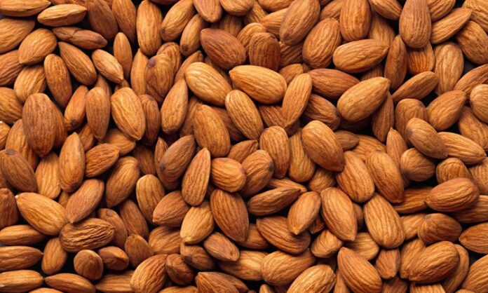 Badem, insanlık tarihinin en eski tarım ürünlerinden biri olarak kabul ediliyor. Orta Asya ve Orta Doğu coğrafyasında binlerce yıl önce yetiştirilmeye başlanan bu değerli kuruyemiş, zamanla tüm dünyaya yayıldı. Osmanlı döneminde hem mutfakta hem de tıpta kullanılan badem, günümüzde de sofraların vazgeçilmez lezzetlerinden biri olarak biliniyor. Konulu bir haber görseli.