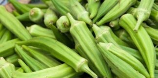 Bamya, Türk mutfağının vazgeçilmez sebzelerinden biridir. Özellikle yaz ve sonbahar aylarında taze olarak bulunabilen bamya, hem sebze yemekleri hem de zeytinyağlı tariflerde sıkça tercih edilir. Tarih boyunca Anadolu sofralarında kendine yer bulan bamya, hem besleyici hem de doyurucu yapısıyla öne çıkar. Konulu bir haber görseli.