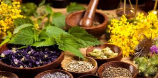 Son yıllarda bitkisel yemekler, hem sağlıklı yaşamı benimseyenler hem de çevre bilincine sahip tüketiciler arasında giderek daha popüler hale geldi. Sebzeler, baklagiller ve tahıllar, yalnızca besleyici özellikleriyle değil, aynı zamanda pratik hazırlanabilirlikleriyle de öne çıkıyor. Modern mutfaklarda, bitkisel yemekler farklı tat kombinasyonları ve pişirme teknikleriyle zenginleştiriliyor. Konulu bir haber görseli.