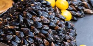 Midye dolma, taze midyelerin pirinç, soğan, baharat ve bazen etle doldurularak hazırlanan geleneksel bir deniz ürünü yemeğidir. Özellikle Karadeniz ve Ege mutfağında sıkça rastlanan bu lezzet, hem sokak lezzeti hem de ev yemeği olarak tüketilmektedir. Midyenin doğal tuzluluğu ve dolgun iç harcı, yemeğe kendine has bir aroma katar. Konulu bir haber görseli.