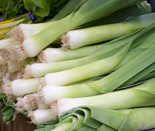 Pırasa, hem lezzeti hem de sağlığa faydaları ile mutfaklarımızda önemli bir yere sahiptir. Tarih boyunca Akdeniz ve Anadolu mutfağında sıkça kullanılan pırasa, vitamin ve mineral bakımından oldukça zengindir. İçerdiği A, C ve K vitaminleri sayesinde bağışıklığı güçlendirirken, potasyum ve demir mineralleri ile vücuda enerji sağlar. Konulu bir haber görseli.