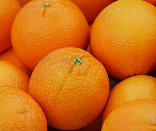 Kış aylarının vazgeçilmez meyvelerinden biri olan portakal, sadece lezzetiyle değil içerdiği besin değerleriyle de dikkat çekiyor. Özellikle C vitamini açısından oldukça zengin olan bu meyve, bağışıklık sistemini güçlendirmede önemli bir role sahip. Soğuk algınlığı ve grip gibi kış hastalıklarına karşı doğal bir koruma sağladığı için portakal, günlük beslenme alışkanlıklarında mutlaka yer alması gereken bir gıda olarak öne çıkıyor. Bunun yanı sıra, içerdiği potasyum, kalsiyum ve lif sayesinde hem kalp sağlığını destekliyor hem de sindirim sistemini düzenliyor. Konulu bir haber görseli.