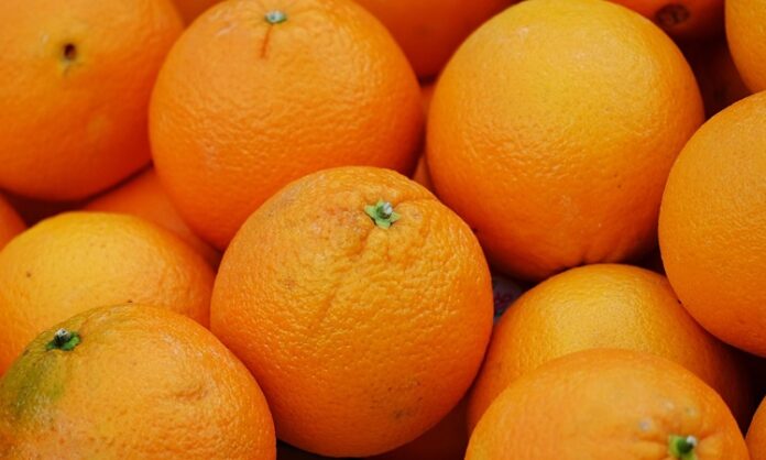 Kış aylarının vazgeçilmez meyvelerinden biri olan portakal, sadece lezzetiyle değil içerdiği besin değerleriyle de dikkat çekiyor. Özellikle C vitamini açısından oldukça zengin olan bu meyve, bağışıklık sistemini güçlendirmede önemli bir role sahip. Soğuk algınlığı ve grip gibi kış hastalıklarına karşı doğal bir koruma sağladığı için portakal, günlük beslenme alışkanlıklarında mutlaka yer alması gereken bir gıda olarak öne çıkıyor. Bunun yanı sıra, içerdiği potasyum, kalsiyum ve lif sayesinde hem kalp sağlığını destekliyor hem de sindirim sistemini düzenliyor. Konulu bir haber görseli.