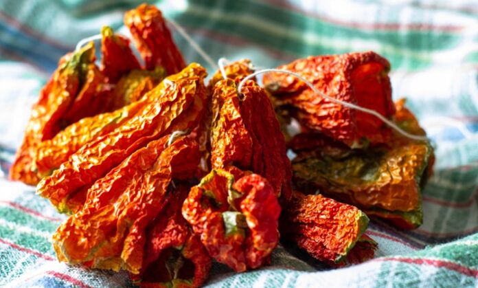 Anadolu’nun köklü mutfak kültürü içinde önemli bir yere sahip olan kurutmalık asma, hem tarımsal üretimin hem de geleneksel beslenme alışkanlıklarının ayrılmaz bir parçasıdır. Asma yaprakları ve üzüm dallarıyla özdeşleşen bu kavram, özellikle yaz aylarında başlayan yoğun bir hazırlık sürecini ifade eder. Kurutmalık asma, sadece bir bitkiyi değil; sabrı, emeği ve mevsim döngüsüne uyumlu yaşamı temsil eder. Konulu bir haber görseli.