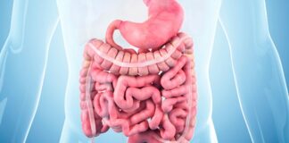 Bağırsaklar, vücudun en kritik sindirim organlarından biridir ve genel sağlık üzerinde doğrudan etkisi vardır. Modern yaşamın hızlı temposu, işlenmiş gıdalar ve stres, bağırsak sağlığını olumsuz etkileyebilir. Bu nedenle bağırsak temizliği diyeti, sindirim sistemini desteklemek, toksinleri atmak ve enerji seviyelerini yükseltmek için önemli bir beslenme yaklaşımıdır. Düzenli olarak uygulandığında hem metabolizmayı hızlandırır hem de bağışıklık sistemini güçlendirir. Konulu bir haber görseli.