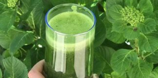 Bitkisel detoks, vücudu toksinlerden arındırmak, sindirim sistemini desteklemek ve enerji seviyesini artırmak için son yıllarda popüler bir beslenme yöntemi haline geldi. Taze sebze, meyve ve bitkisel çaylar ile yapılan bu uygulamalar, hem bedensel hem de zihinsel sağlığı destekler. Bitkisel detoks, doğru uygulandığında metabolizmayı düzenler, bağışıklık sistemini güçlendirir ve yaşam kalitesini artırır. İnsanlar, kısa süreli veya düzenli olarak yapılan bitkisel detoks programları ile sağlıklı yaşam alışkanlıklarını pekiştiriyor. Konulu bir haber görseli.