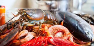 Deniz ürünleri, sağlıklı beslenmenin vazgeçilmez parçalarından biridir. Protein, omega-3 yağ asitleri, vitamin ve mineraller açısından zengin olan bu gıdalar, kalp sağlığından beyin fonksiyonlarına kadar pek çok fayda sağlar. Ancak bazı bireyler deniz ürünlerine karşı alerjik reaksiyonlar gösterebilir veya sindirim sorunları yaşayabilir. Bu nedenle deniz ürünleri beslenme konusunda dikkatli ve bilinçli olmak, hem sağlık hem de güvenli tüketim açısından önemlidir. Konulu bir haber görseli.