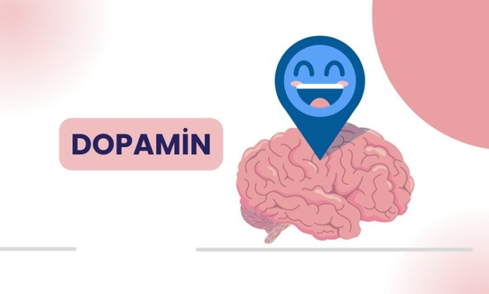 Modern yaşamda motivasyon eksikliği, odaklanma sorunları ve zihinsel yorgunluk giderek daha sık konuşulan konular arasında yer alıyor. Bu noktada beynin ödül ve motivasyon sistemiyle doğrudan ilişkili olan dopamin hormonu ön plana çıkıyor. Dopamin diyeti, yalnızca fiziksel ihtiyaçlara değil, zihinsel performans ve ruhsal dengeye de odaklanan bütüncül bir beslenme yaklaşımı olarak dikkat çekiyor. Konulu bir haber görseli.
