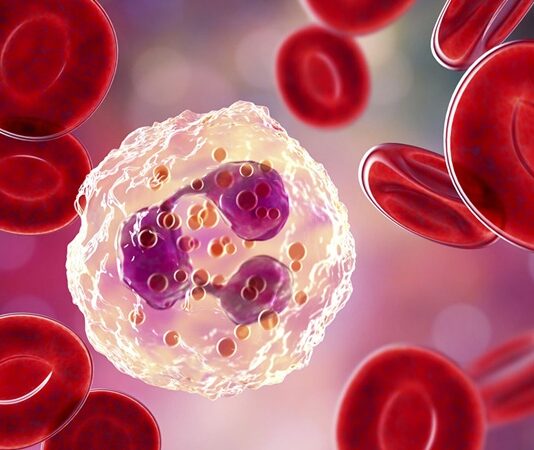 İnflamasyon, vücudun doğal savunma mekanizmasının bir parçası olsa da, kronik hale geldiğinde ciddi sağlık sorunlarına yol açabilir. Bu nedenle inflamasyon karşıtı diyet, hem inflamatuvar süreçleri azaltmak hem de genel sağlığı desteklemek için önemli bir beslenme yaklaşımı olarak öne çıkıyor. Antioksidan ve antiinflamatuvar özellik taşıyan besinlerin düzenli tüketimi, bağışıklık sistemini güçlendirir ve enerji seviyelerini dengeler. Konulu bir haber görseli.