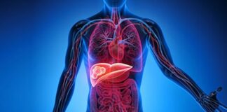 Karaciğer, vücudun en önemli detoks organlarından biridir ve sağlıklı çalışması genel sağlık açısından kritik bir rol oynar. Modern yaşamda işlenmiş gıdalar, alkol ve stres gibi faktörler karaciğerin yükünü artırabilir. Bu nedenle karaciğer temizleme diyeti, vücudu toksinlerden arındırmak, metabolizmayı desteklemek ve enerji seviyelerini yükseltmek için etkili bir yöntem olarak öne çıkıyor. Bu diyet, doğru uygulandığında hem besleyici hem de güvenli bir yaşam tarzı sağlar. Konulu bir haber görseli.