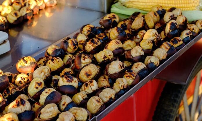 Sokak lezzetleri, bir şehrin hafızasını, gündelik yaşam temposunu ve toplumsal çeşitliliğini en yalın haliyle yansıtan mutfak pratikleri arasında yer alır. Kimi zaman ayaküstü yenilen bir lokma, kimi zaman gece geç saatlerde paylaşılan sıcak bir tat, sokak lezzetlerinin yalnızca karın doyurmaktan ibaret olmadığını gösterir. Bu lezzetler, şehir yaşamının hızına uyum sağlayan pratik çözümler sunarken, aynı zamanda kültürel kimliğin de taşıyıcısıdır. Konulu bir haber görseli.