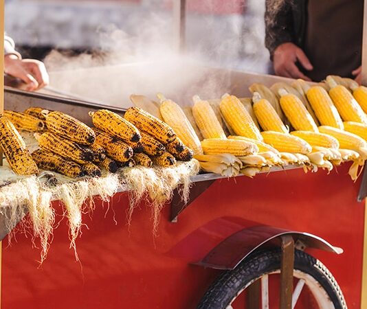 Şehir hayatının en canlı unsurlarından biri olan sokak satıcıları, yalnızca hızlı ve ulaşılabilir yiyecekler sunan kişiler değil, aynı zamanda kentsel kültürün taşıyıcıları olarak görülüyor. Dar sokaklardan geniş meydanlara kadar uzanan bu hareketli dünya, geçmişten bugüne toplumların yeme içme alışkanlıklarını, ekonomik yapısını ve sosyal ilişkilerini gözler önüne seriyor. Günümüzde modern restoran zincirlerinin artmasına rağmen sokak satıcıları kültürü, samimiyeti ve özgünlüğüyle varlığını korumaya devam ediyor. Konulu bir haber görseli.