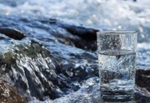 Su, tarih boyunca hem yemek kültürü hem de yaşamın temel öğesi olarak vazgeçilmez bir öneme sahip olmuştur. İnsanlar, suyun arıtılması, saklanması ve sofralarda doğru şekilde sunulması konusunda uzun yıllardır çeşitli yöntemler geliştirmiştir. Su, sadece içecek olarak değil, aynı zamanda yemeklerin hazırlanması ve servisi açısından da sofra geleneğinin önemli bir parçası olmuştur. Konulu bir haber görseli.